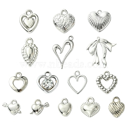 30Pcs 15 Styles Acrylic & Plastic Pendants Sets, Platinum, 10~31.5x7.5~30.5x1.3~7.5mm, Hole: 1.5~2.2mm, 2pcs/style(FIND-YW0004-63)