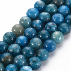 Natural Apatite Beads Strands, Round, Grade A, 8mm, Hole: 0.8mm, about 43pcs/strand, 15.35 inch(39cm)(G-R462-050C-A)
