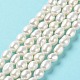 Natural Cultured Freshwater Pearl Beads Strands(PEAR-Z002-21)-2
