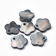 Freshwater Shell Charms, Dyed, Flower, Black, 12x12x2mm, Hole: 1mm(SHEL-S269-40)