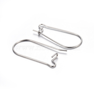 304 Stainless Steel Hoop Earring Findings(X-STAS-P223-01P-05)-2