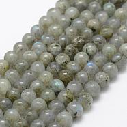 Natural Labradorite Beads Strands, Round, 6mm, Hole: 1mm, about 66pcs/strand, 15.3 inch(39cm)(G-P322-29-6mm)