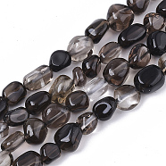 Natural Smoky Quartz Beads Strands, Nuggets, Tumbled Stone, 5~11x5~8x3~6mm, Hole: 0.8mm, about: 52~56pcs/Strand, 15.94 inch(40.5cm)(X-G-S363-040)