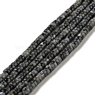 Natural Larvikite Beads Strands, Flat Round, 4.4~4.6x2.2~2.4mm, Hole: 0.8mm, about 159pcs/strand, 14.84''(37.7~38.1cm)(G-D474-01)