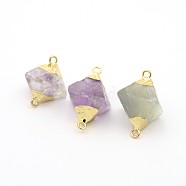 Natural Fluorite Gemstone Links connectors, with Golden Plated Brass Finding, Diamond, 22~29x19~23mm, Hole: 2mm(G-J297-M)