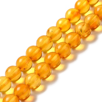 Natural Amber Beads Strands, Round, 4.5mm, Hole: 0.5mm, about 89pcs/strand, 15.67''(39.8cm)