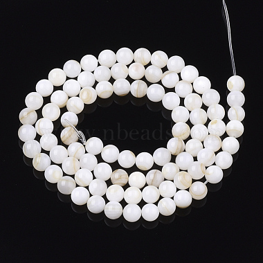 Freshwater Shell Beads Strands(SHEL-T011-01-5mm)-2