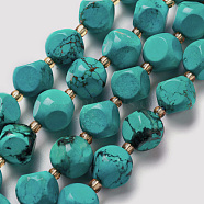 Natural Turquoise Beads Strand, with Seed Beads, Six Sided Celestial Dice, 9.5~10x9.5~10x9.5~10mm, Hole: 0.5mm, about 17pcs/strand, 7.97''(20.25cm)(G-M367-23B)
