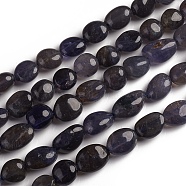 Natural Iolite Beads Strands, Tumbled Stone, Nuggets, 10~15x7.5~11.5x7.5~12.5mm, Hole: 1mm, about 36pcs/Strand, 15.67 inch(39.8 cm)(X-G-D0002-D74)