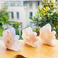 Natural Cherry Blossom Agate Carved Healing Fairy Butterfly Figurines, Reiki Energy Stone Display Decorations, 45x45mm(PW-WG58982-01)