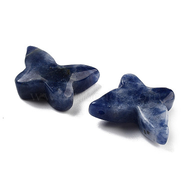 Natural Sodalite Pendants(G-H007-07F)-2