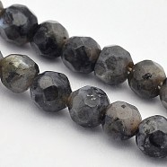 Faceted Round Natural Larvikite Beads Strands, 4mm, Hole: 1mm, about 90pcs/strand, 15.35 inch(G-E302-083-4mm)