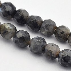 Faceted Round Natural Larvikite/Black Labradorite Beads Strands, 4mm, Hole: 1mm, about 90pcs/strand, 15.35 inches(G-E302-083-4mm)