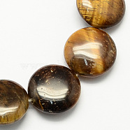 Natural Tiger Eye Stone Beads Strands, Flat Round, 14x6mm, Hole: 1mm, about 28pcs/strand, 15.3 inch(G-S110-14mm-15)