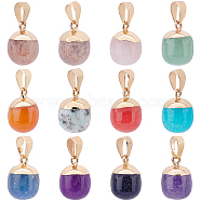 12Pcs 12 Style Top Golden Plated Mixed Gemstone Pendants, with Iron Findings, Barrel, 17~19x11.5~12.5mm, Hole: 4x6mm, 1pc/style(G-OC0003-16)