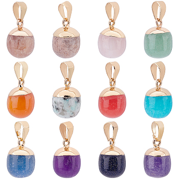 12Pcs 12 Style Top Golden Plated Mixed Gemstone Pendants, with Iron Findings, Barrel, 17~19x11.5~12.5mm, Hole: 4x6mm, 1pc/style