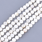 Freshwater Shell Beads Strands, Flat Round, Seashell Color, 6x2~3mm, Hole: 0.5mm, about 64~68pcs/strand, 14.5 inch(X-SHEL-S276-15B)