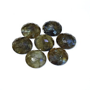 Natural Labradorite Cabochons, Half Round, Faceted, 16x5.5mm(G-L514-007A-01)