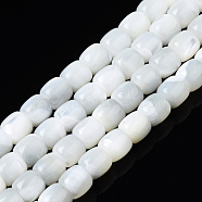 Natural Trochid Shell/Trochus Shell Beads Strands, Bleach, Column, White, 6x5.5mm, Hole: 0.8mm, about 68~69pcs/strand, 15.47 inch~15.75 inch(39.3~40cm)(SSHEL-N034-121-B01)