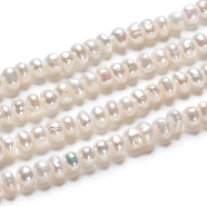 Natural Cultured Freshwater Pearl Beads Strands, Rondelle, Antique White, 4.8~5.5x3.5~4.5mm, Hole: 0.5mm, about 49pcs/strand, 7.01 inch(17.8cm)(PEAR-I004-07B-01A)