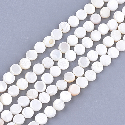Freshwater Shell Beads Strands, Flat Round, Seashell Color, 6x2~3mm, Hole: 0.5mm, about 64~68pcs/strand, 14.5 inch(X-SHEL-S276-15B)