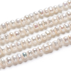 Natural Cultured Freshwater Pearl Beads Strands, Rondelle, Antique White, 4.8~5.5x3.5~4.5mm, Hole: 0.5mm, about 49pcs/strand, 7.01 inch(17.8cm)(PEAR-I004-07B-01A)