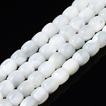 Natural Trochid Shell/Trochus Shell Beads Strands, Bleach, Column, White, 6x5.5mm, Hole: 0.8mm, about 68~69pcs/strand, 15.47 inch~15.75 inch(39.3~40cm)