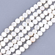 Chapelets de perles en coquille d'eau douce (X-SHEL-S276-15B)-1