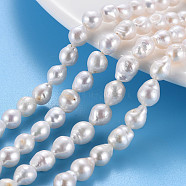 Natural Keshi Pearl Beads Strands, Cultured Freshwater Pearl, Teardrop, Seashell Color, 5~9x5~7mm, Hole: 0.6mm, about 48~54pcs/strand, 14.96~15.35 inch(38~39cm)(PEAR-S020-F03)