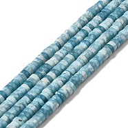 Natural Gemstone Beads Strands, Imitation Larimar, Dyed, Heishi Beads, Flat Round/Disc, Sky Blue, 4.5x2mm, Hole: 1mm, about 186~188pcs/strand, 15.04 inch(38.2cm)(G-F730-03A)