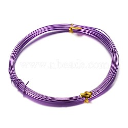 Round Aluminum Craft Wire, for DIY Arts and Craft Projects, Purple, 12 Gauge, 2mm, 5m/roll(16.4 Feet/roll)(AW-D009-2mm-5m-11)