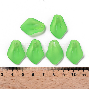 Transparent Frosted Acrylic Pendants(MACR-S371-03A-734)-4