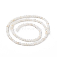 125Pcs Natural Freshwater Shell Beads, Dyed, Round, Creamy White, 3mm, Hole: 0.5mm(SHEL-B002-01F)