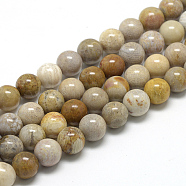 Natural Fossil Coral Beads Strands, Round, 6~7mm, Hole: 1mm, about 60~67pcs/strand, 15.7 inch(X-G-R446-6mm-28)