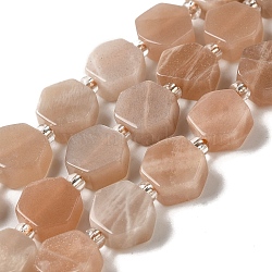 Natural Sunstone Beads Strands, Hexagon, with Seed Beads, 8.5~9x8.5~10x4~5mm, Hole: 1mm, about 37~38pcs/strand, 15.55''~15.75''(39.5~40cm)(G-P534-A09-02)
