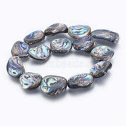 Natural Abalone Shell/Paua Shell Beads Strands, Nuggets, 26~35x18~25x6~11mm, Hole: 0.8mm, about 14pcs/strand, 15.5 inch(39.5cm)(SSHEL-P014-04)