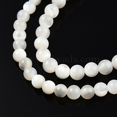 Natural White Shell Bead Strands(X-SSHEL-N003-144C-01)-3