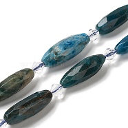 Natural Apatite Beads Strands, with Seed Beads, Faceted, Oval, 20.5~26x8.5~12mm, Hole: 1mm, about 13~14pcs/strand, 15.35~15.55''(39~39.5cm)(G-H297-A03-01)