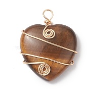 Natural Tiger Eye Copper Wire Wrapped Pendants, Heart Charms, Light Gold, 37.5~39x31~31.5x9~9.5mm, Hole: 4.5mm(PALLOY-JF02042-04)
