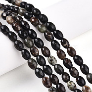 Natural Biotite Beads Strands, Rice, 7~8.5x6~6.5mm, Hole: 0.8mm, about 46~48pcs/strand, 14.96~15.35 inch(38~39cm)(G-N346-02B-02)