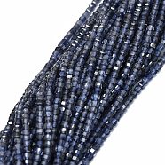 Natural Iolite Beads Strands, Cube, 2x2x2mm, Hole: 0.6mm, about 173pcs/strand, 15.55''(39.5cm)(G-E576-68)