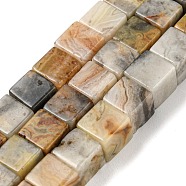 Natural Crazy Lace Agate Beads Strands, Cube, 6~6.5x6~6.5x6~6.5mm, Hole: 1.2mm, about 63~64pcs/strand, 15''~15.16''(38.1~38.5cm)(G-Q1008-B11)