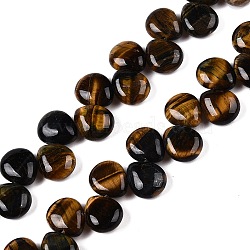 Natural Tiger Eye Beads Strands, Teardrop, Top Drilled, 12~12.5x10~11x5~5.5mm, Hole: 1~1.2mm, about 33pcs/strand, 8.86~10.2''(22.5~25.5cm)(G-T138-114)