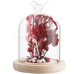 1Pc Glass Dome Cover, Decorative Display Case, Cloche Bell Jar Terrarium with Wood Base, Arch, Bird, Finished Product: 113x144mm(AJEW-SC0002-61A)