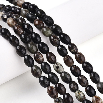 Natural Biotite Beads Strands, Rice, 7~8.5x6~6.5mm, Hole: 0.8mm, about 46~48pcs/strand, 14.96~15.35 inch(38~39cm)