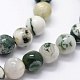 Natural Tree Agate Beads Strands(X-G-I199-03-10mm)-4