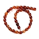 Natural Red Agate Beads Strands(G-NH0019-C02-01)-2