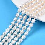 Natural Cultured Freshwater Pearl Beads Strands, Rice, Seashell Color, 7~9x5.5~6.5mm, Hole: 0.7mm, about 45~47pcs/strand, 13.78 inch~13.98 inch(35cm~35.5cm)(PEAR-N012-06E-1)