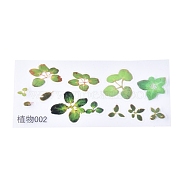 3D Resin Decorations Stickers, DIY Handmade Scrapbook Photo Albums, Leaf, Mixed Color, 122x53.5mm(DIY-WH0146-08F)