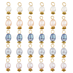 30Pcs 5 Colors Natural Freshwater Shell Rice Charms, with Golden Tone 304 Stainless Steel Loops, Mixed Color, 14~15x4.5~6mm, Hole: 2mm, 6pcs/color(PALLOY-AB00092)